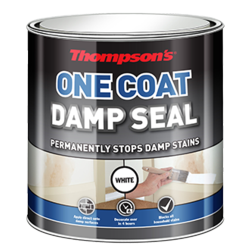 Thompson's One Coat Damp Seal