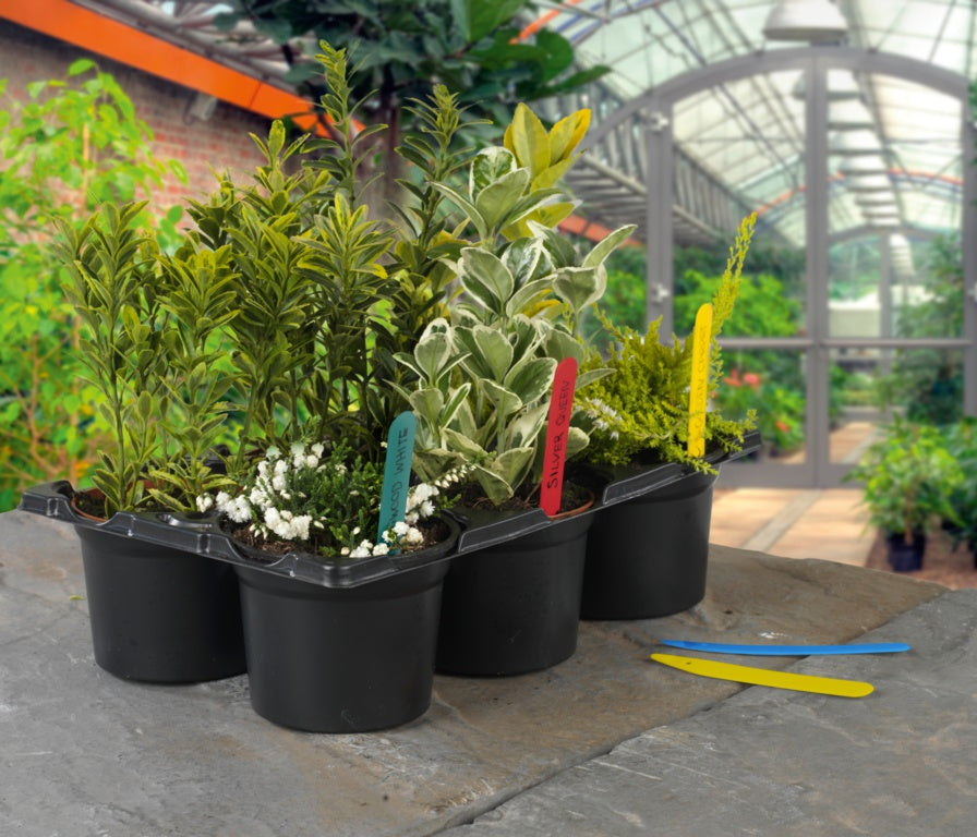 Ambassador Plant Labels