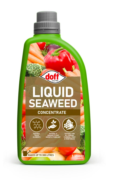 Doff Liquid Seaweed Plant Feed 1 L