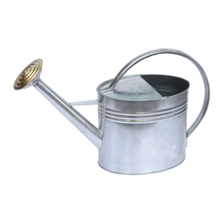 Ambassador Oval Galvanised Watering Can 5 L