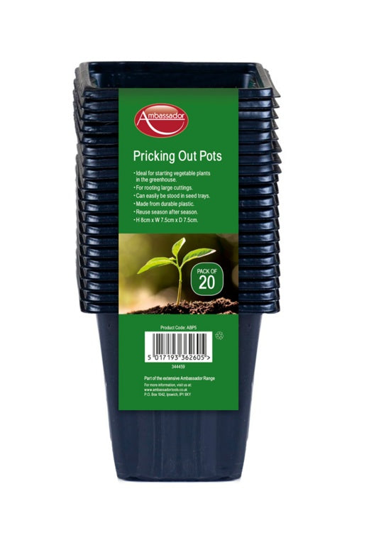 Ambassador Pricking Out Pots 8cm Pack 20