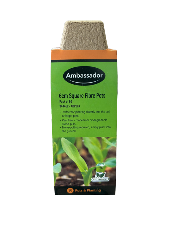 Ambassador Square Fibre Pots 6cm Pack 80