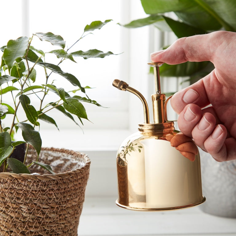 Ambassador Brass Mist Sprayer 8.5cm X 14.5cm
