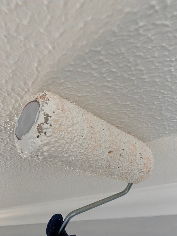 Hamilton For The Trade Long Pile Roller Sleeve 9"