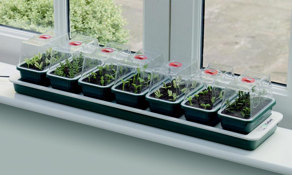 Garland Super 7 Electric Windowsill Propagator 76 X 18.5 X 15cm 13 Watt