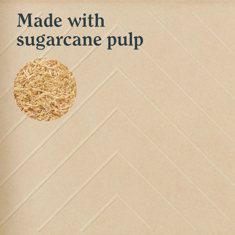 Lick Tools Eco Bio Degradable Sugar Cane Paint Tray 4"