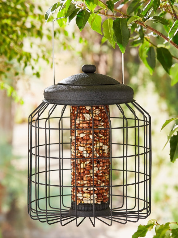 Ambassador Heavy Duty Black Squirrel Proof Peanut Feeder