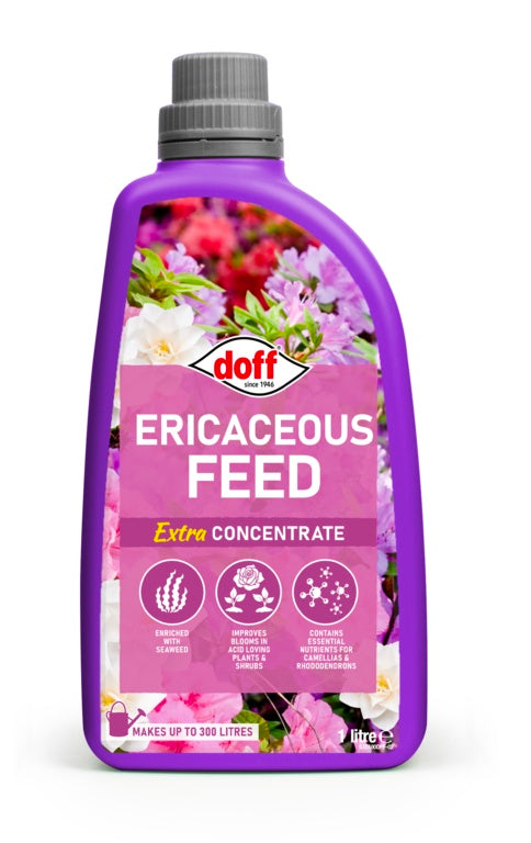 Doff Azalea Camillia & Rhodedendron Feed Concentrate 1 L Concentrate
