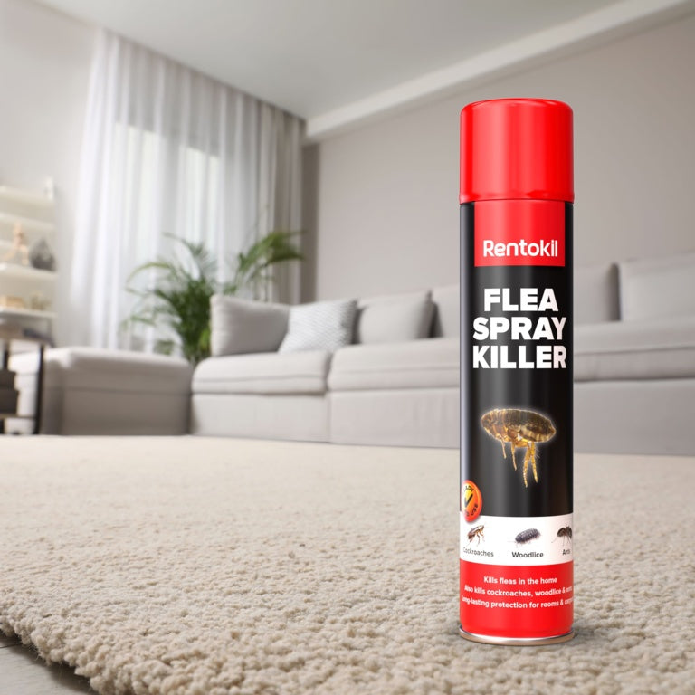 Rentokil Flea Spray Killer 300ml