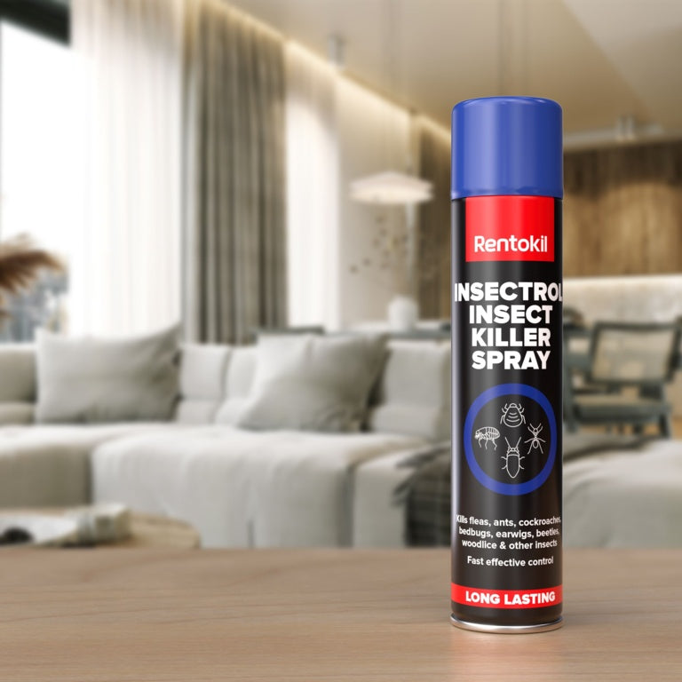 Rentokil Insectrol Insect Killer Spray 600ml