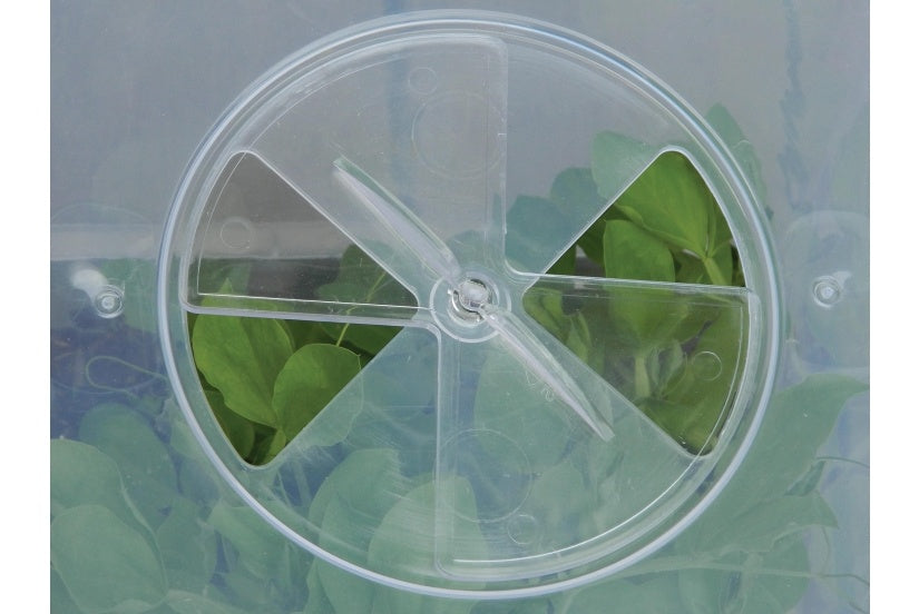 Garland Square Cloche Cover