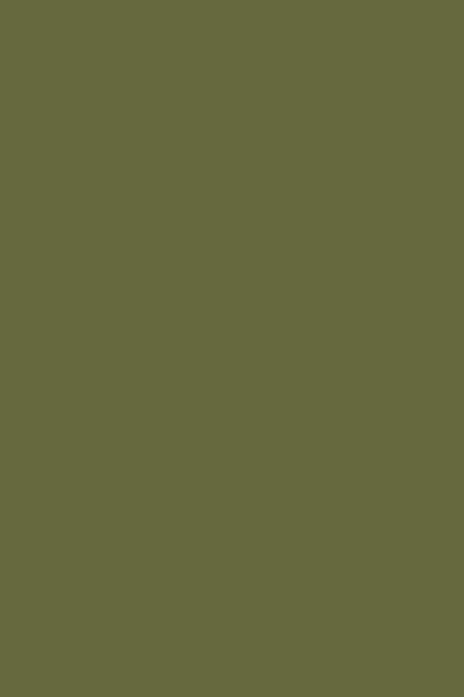 D C Fix�� Uni Matt Olive Green Self Adhesive Film 67.5cm X 2m