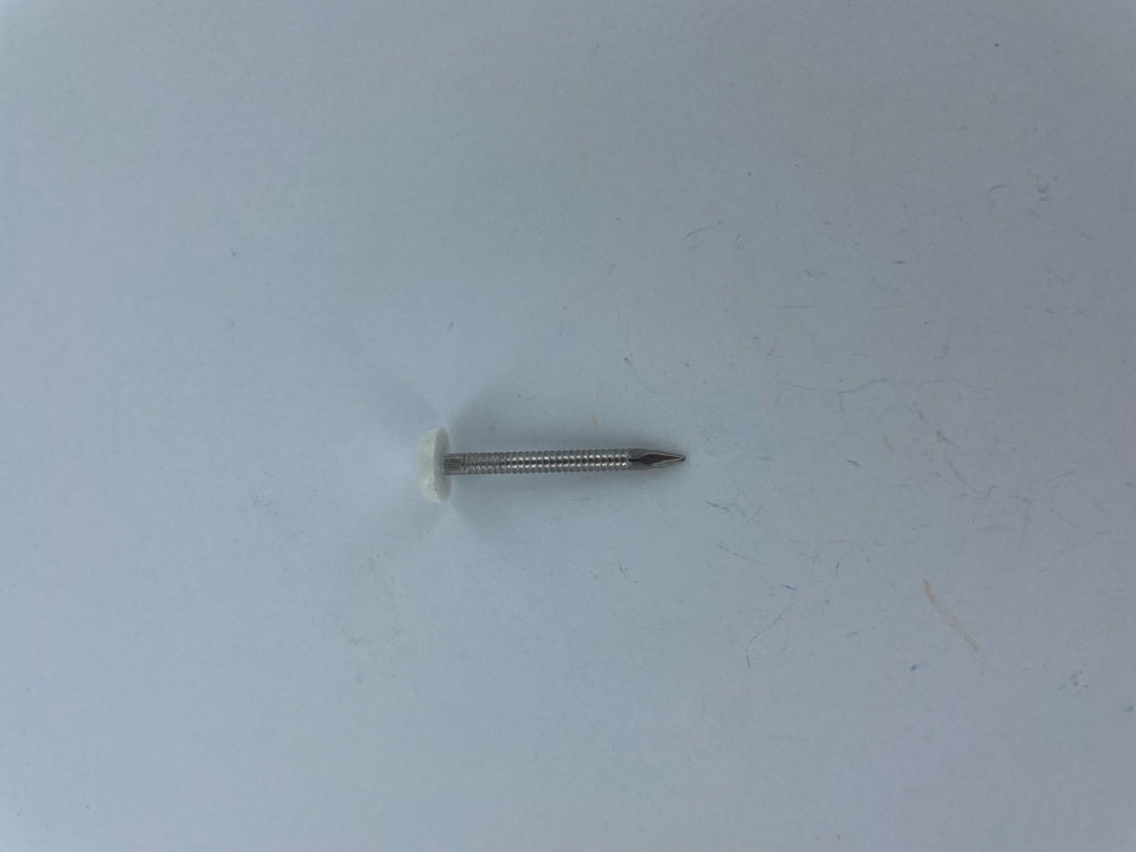 Securfix Stainless Steel Plastic Headed Nail White 40mm 50 Pack