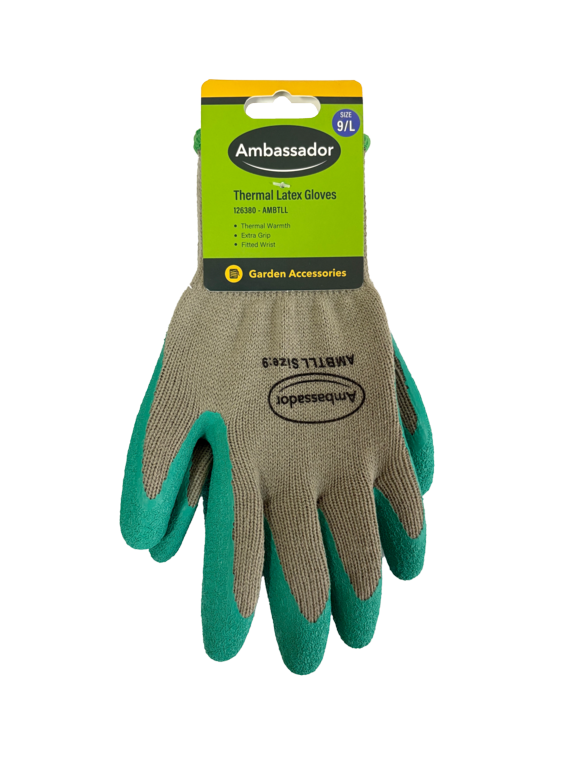 Ambassador Thermal Latex Gloves 9/L