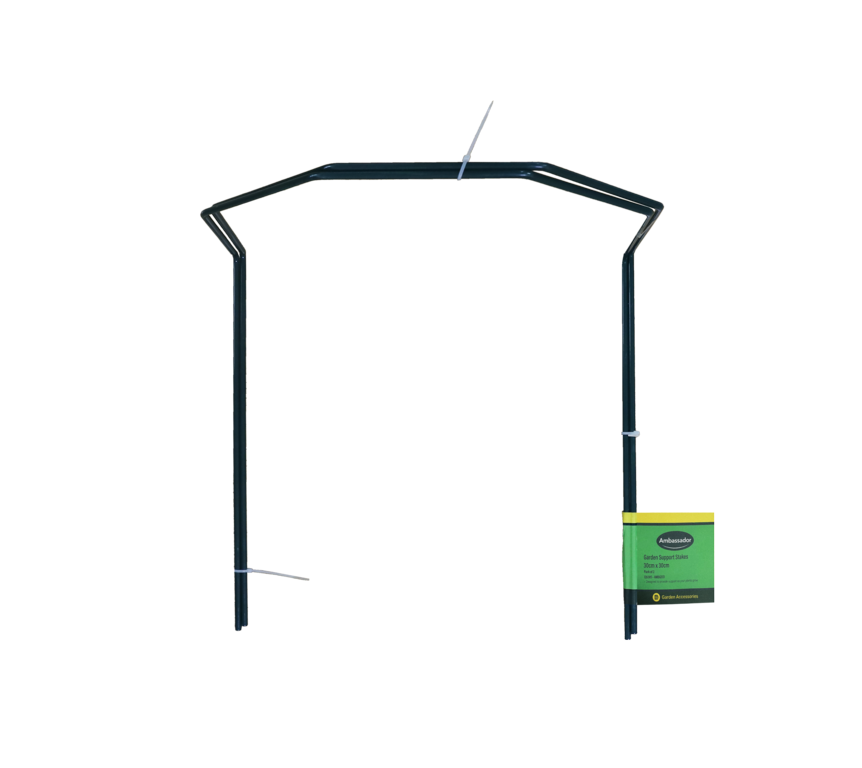 Ambassador Garden Support Stakes Pack 2