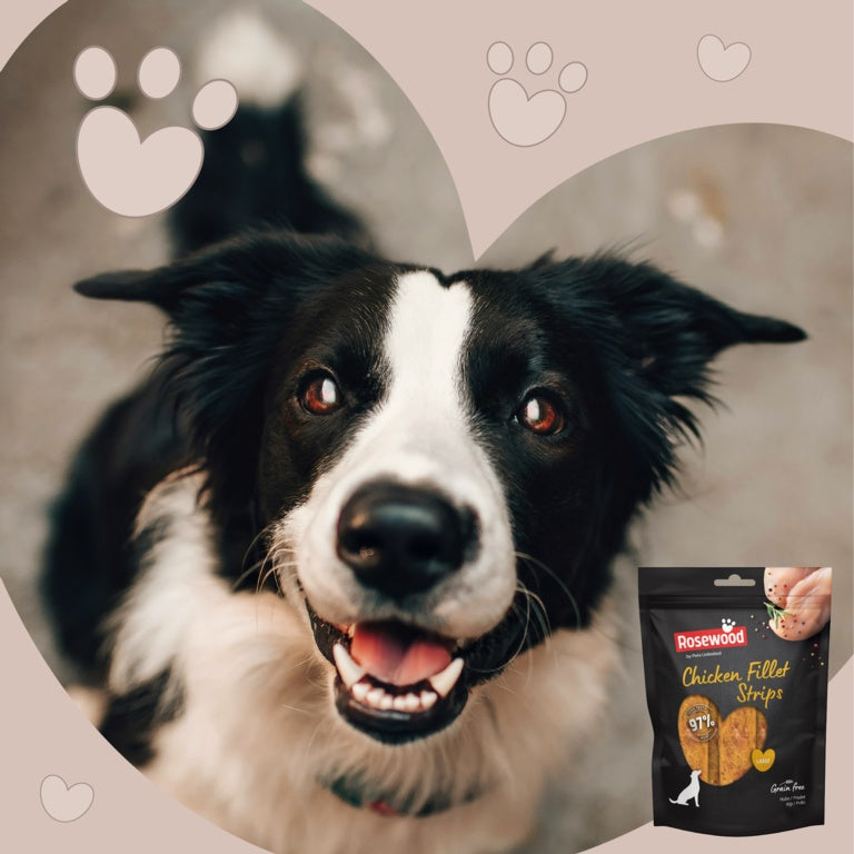 Rosewood Chicken Fillet Strips Dog Treats Large