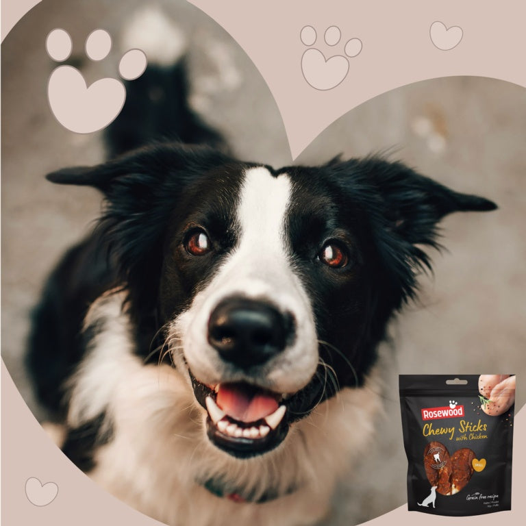 Rosewood Chewy Sticks With Chicken Dog Treats Small