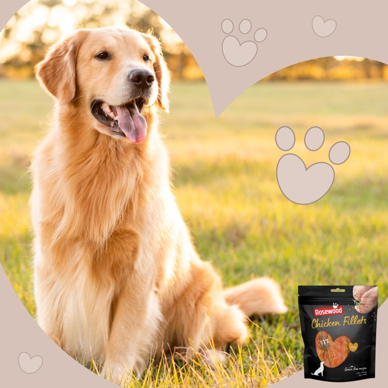 Rosewood Chicken Fillets Dog Treats Large