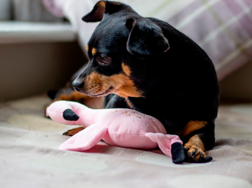 Rosewood Eco Friendly Flamingo Dog Toy