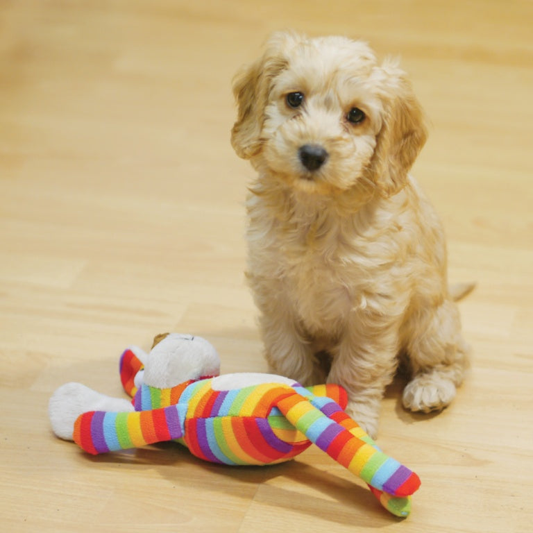 Rosewood Sonny Monkey Plush Dog Toy