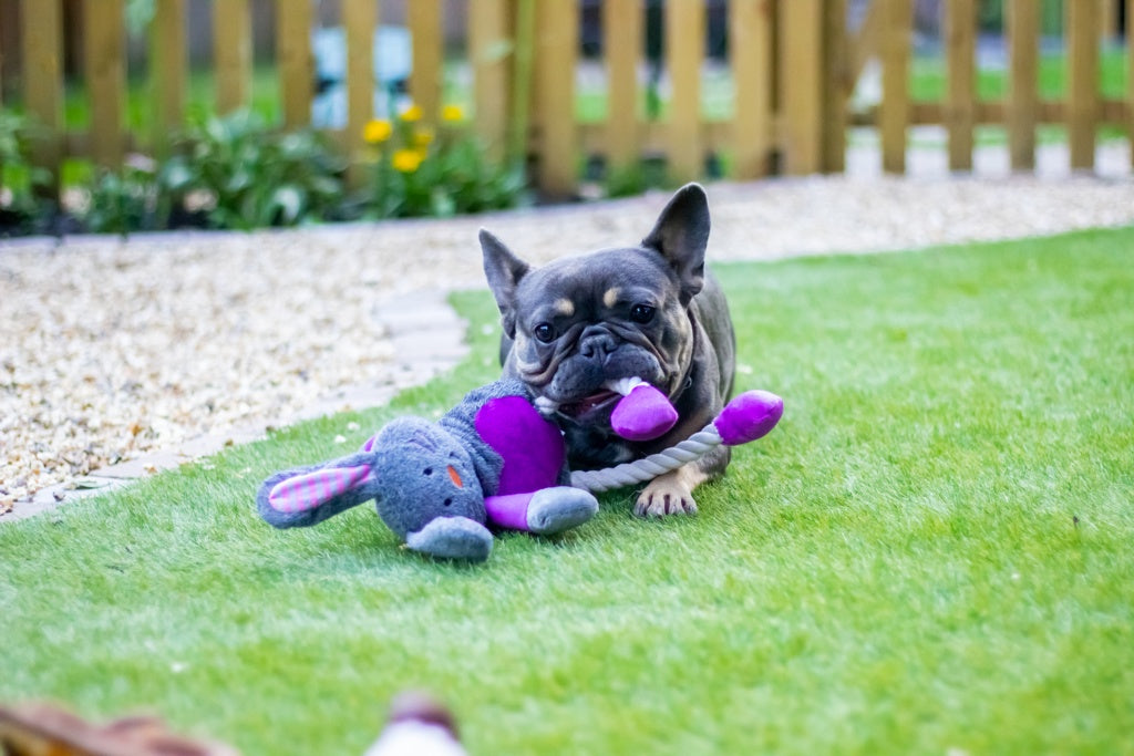 Rosewood Mister Twister Ruby Rabbit Rope Dog Toy