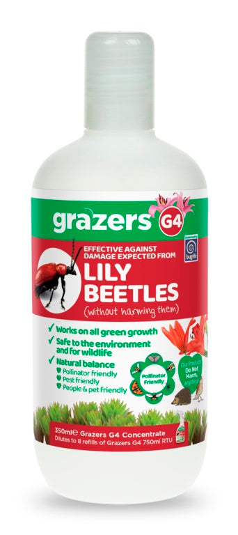 Grazers G4 Lily Beetles