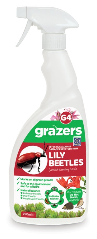 Grazers G4 Lily Beetles