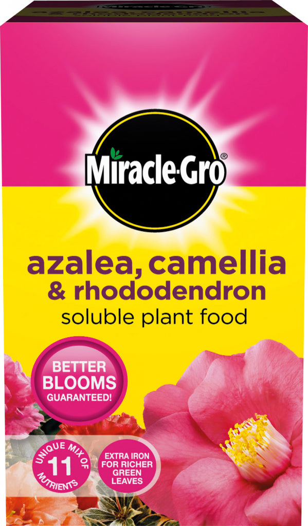 Miracle Gro�� Azalea, Camellia & Rhododendron Soluble Plant Food 500g Carton