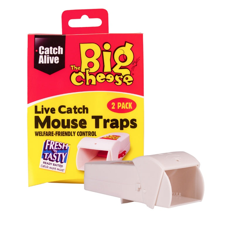 The Big Cheese Live Catch Rtu Mouse Trap Twin Pack
