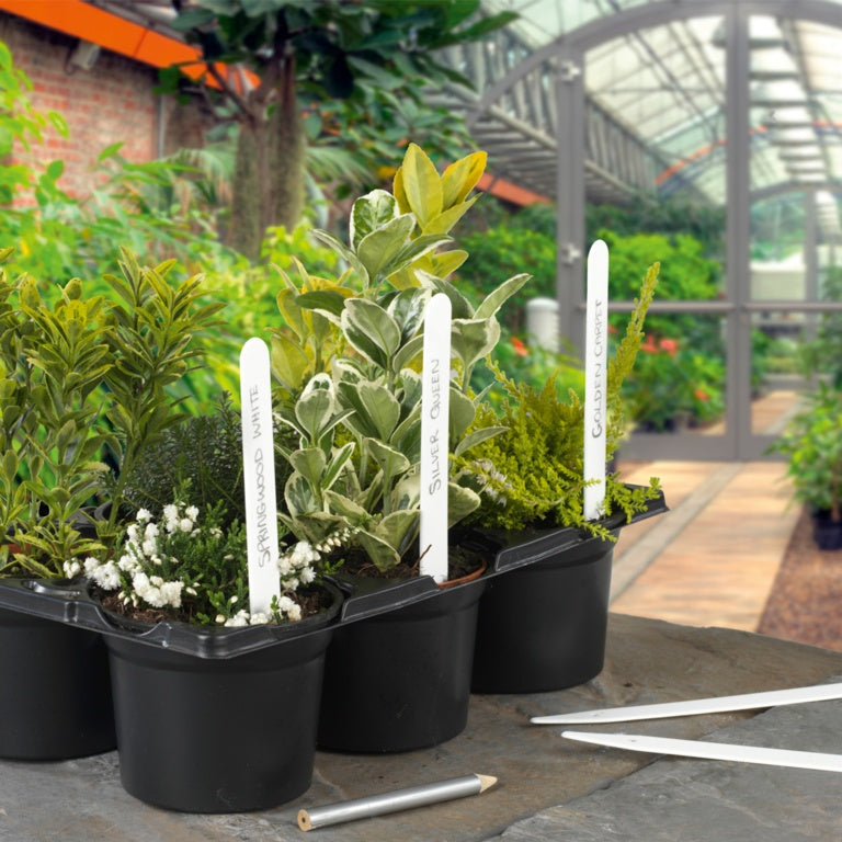 Ambassador Plant Labels