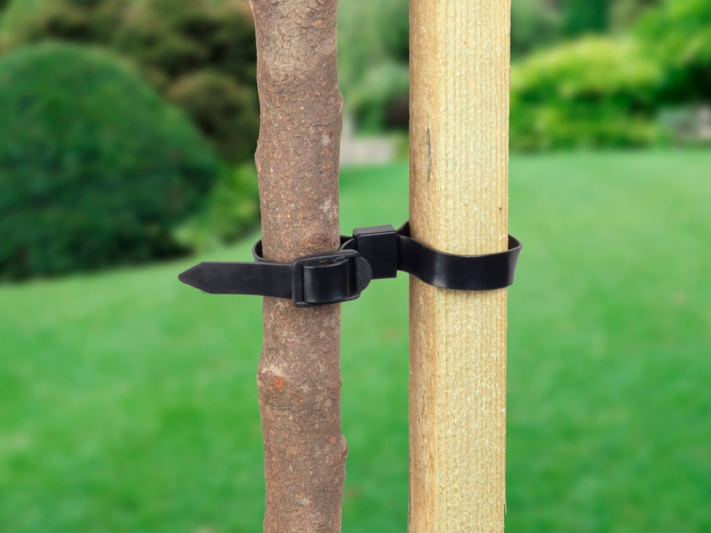Ambassador Adjustable Rose & Shrub Ties