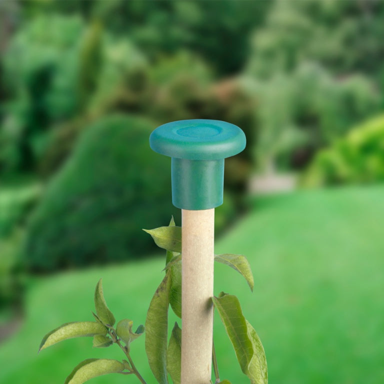 Ambassador Garden Eye Guards