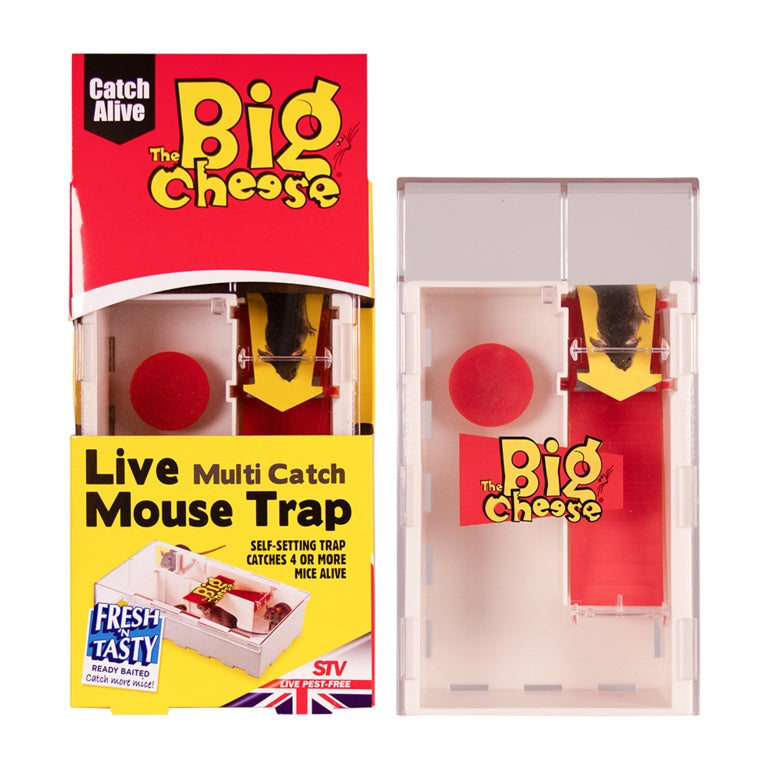 The Big Cheese Multi Catch Mouse Trap
